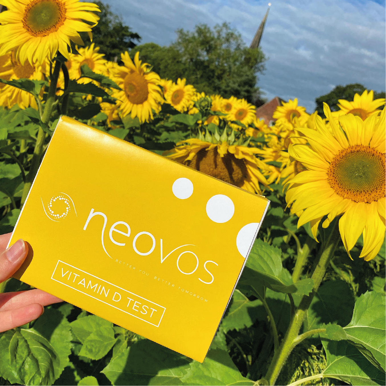 Vitamin D Test Kit | Sunflower Field | SureScreen Scientifics for Health